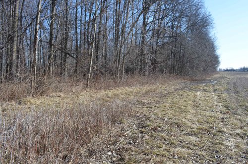 Property photo 23 - East Allen County - 55 Acre Land Auction